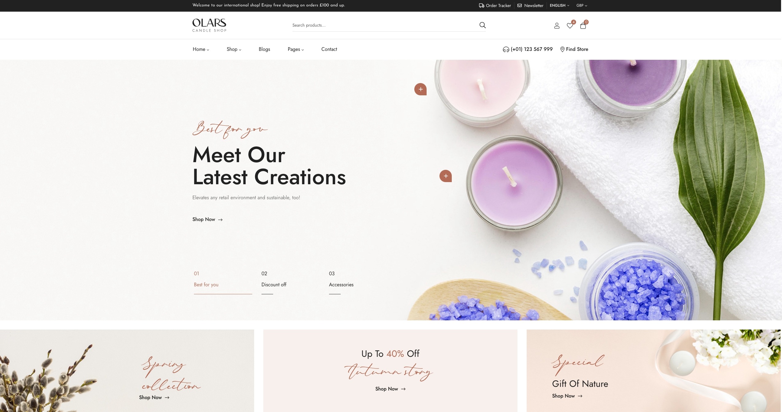 Olar - Handmande WordPress Theme