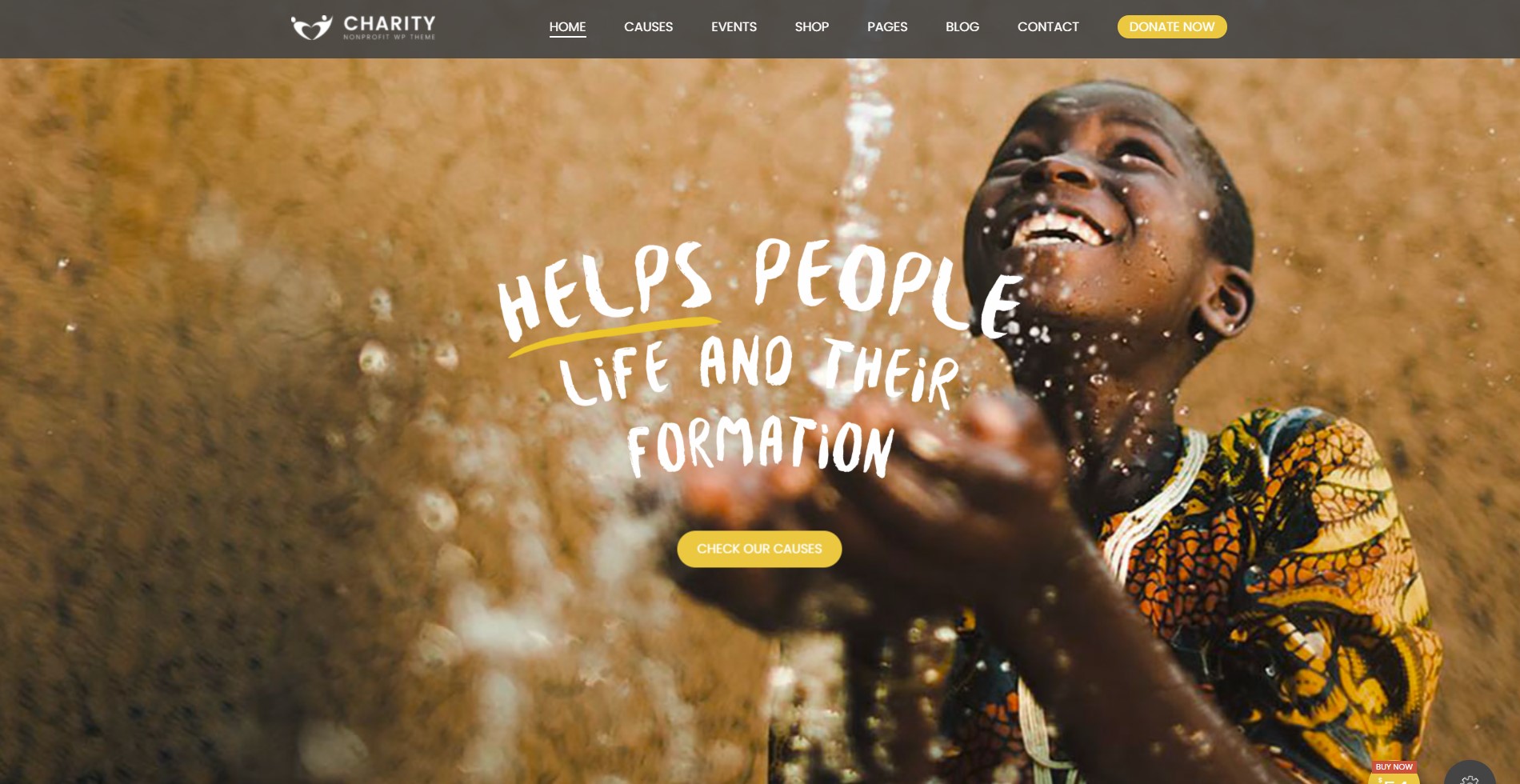 charityfoundation charity wordpress theme