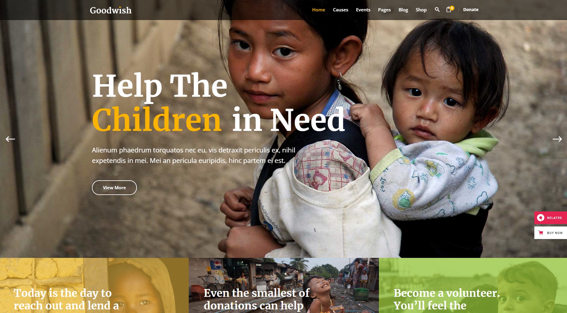 goodwish charity wordpress theme