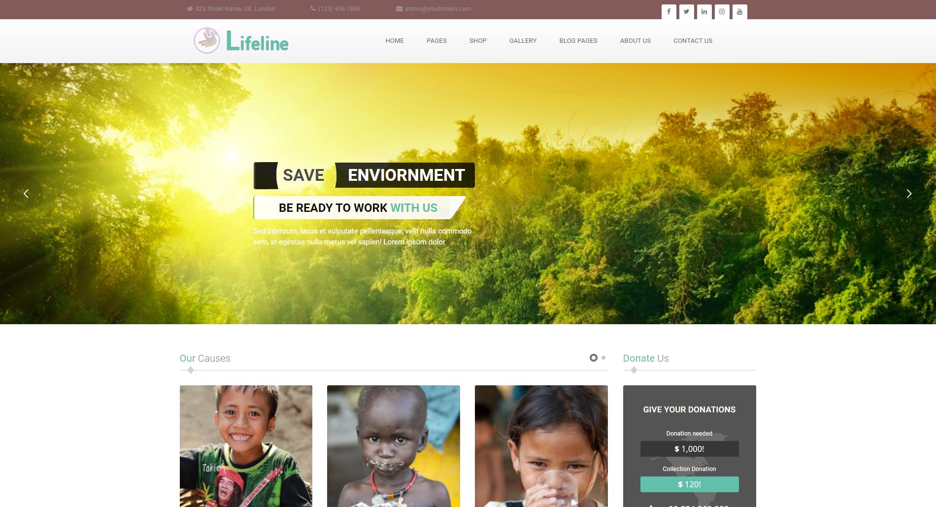 lifeline charity theme in wordpress