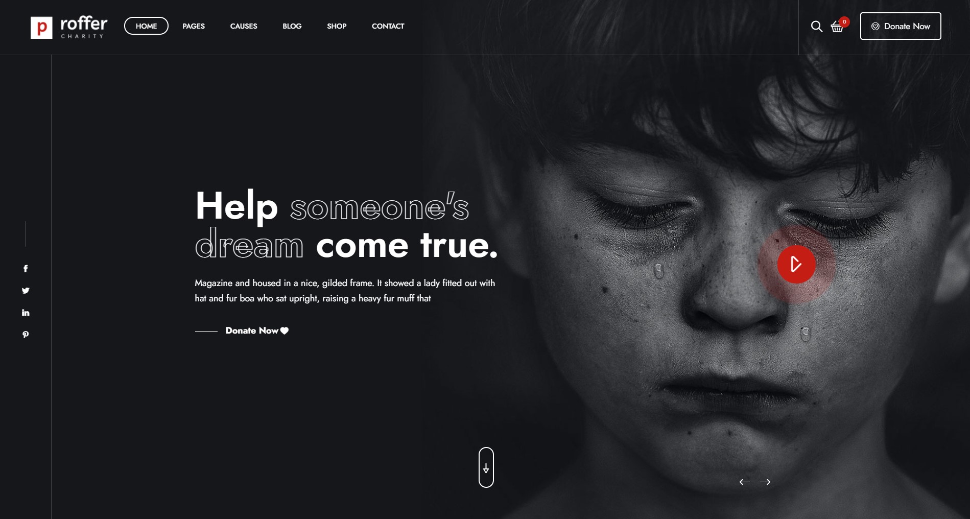 proffer charity theme in wordpress