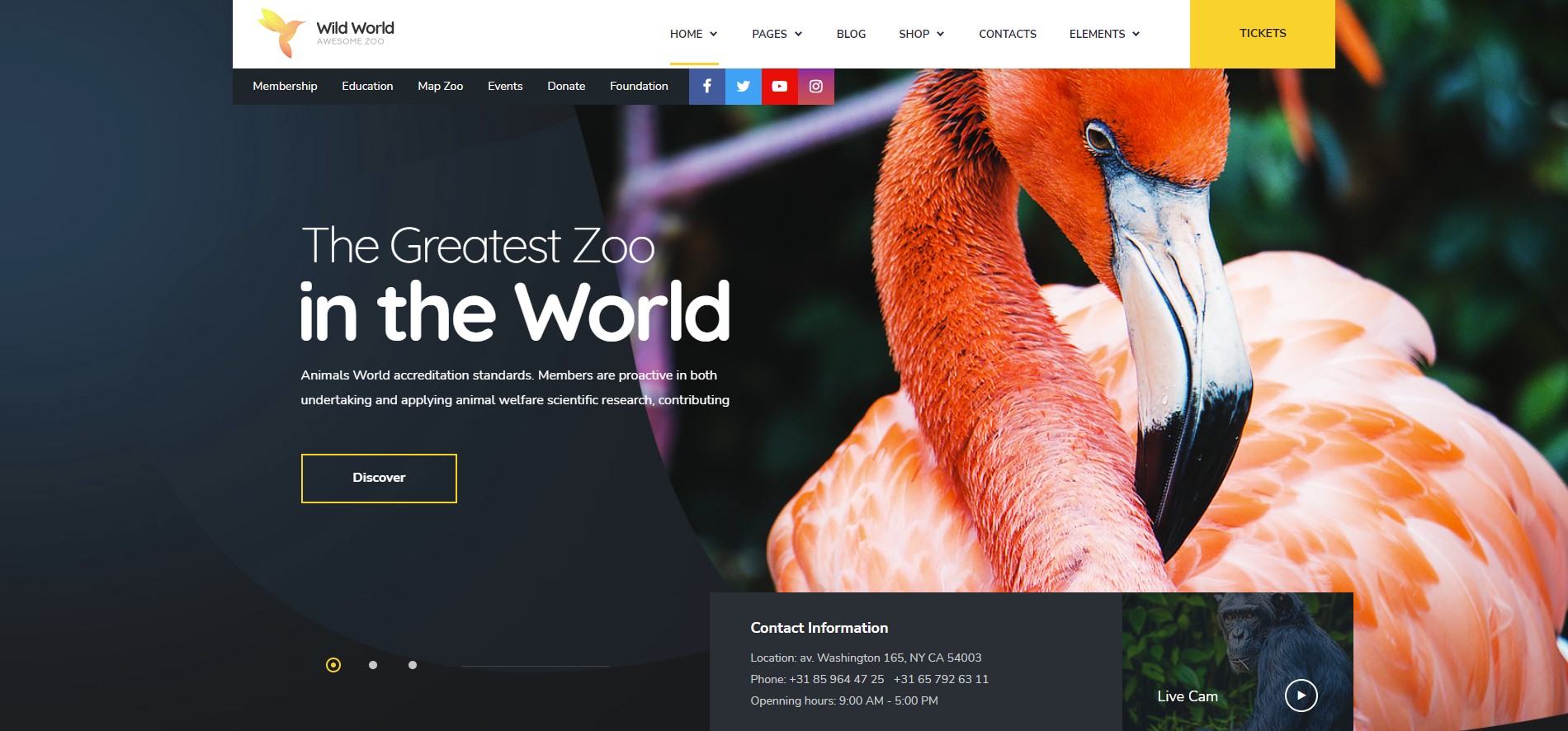 wildworld charity wordpress theme